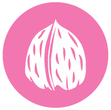Frutos de cáscara